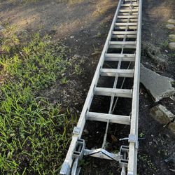 24’ Ladder 