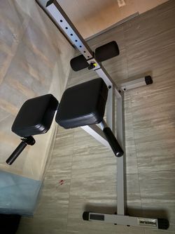Roman chair workout