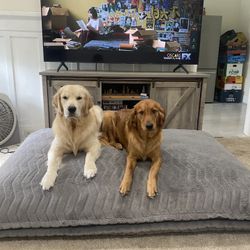 Giant Dog Bed