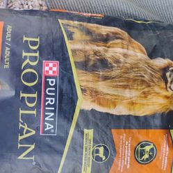 Dogfood 