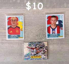 FIFA World Cup Panini Stickers
