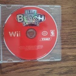 BIg Beach sports Nintendo wii video game