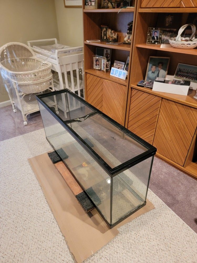 29 Gallon Glass Fish