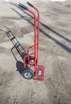 Dolly.