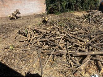 Free Firewood $0
