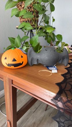 Squishy pumpkin /bat