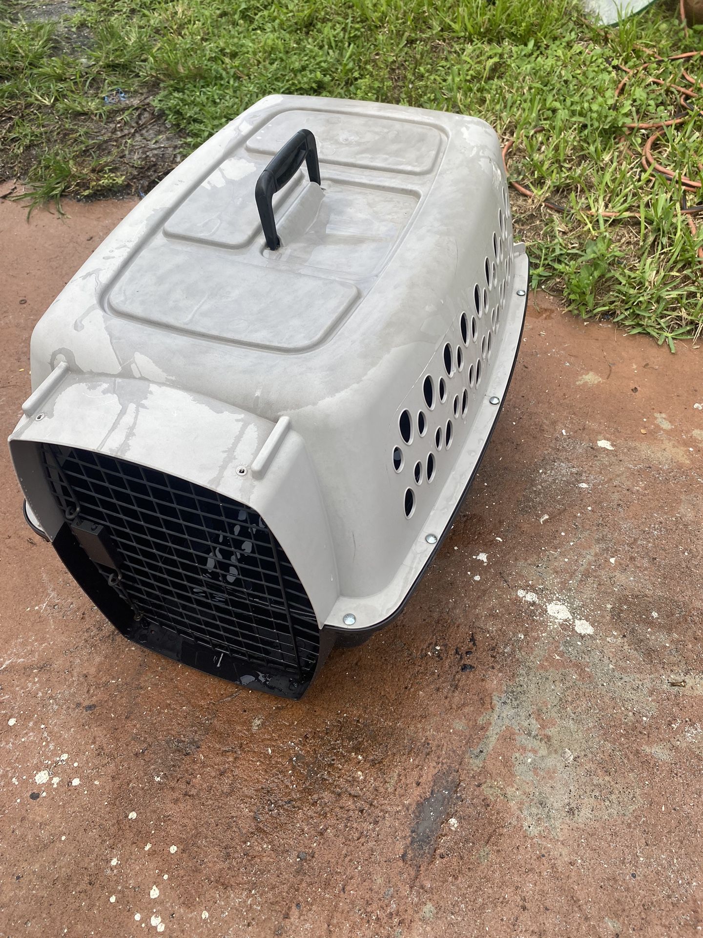 Petmate Dog Crates