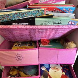 Mini Bookcase and Toy Organizer 