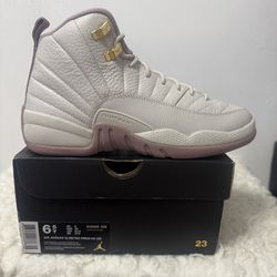 Air Jordan 12 retro