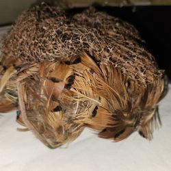 Vintage Pheasant Feather Pillbox Hat