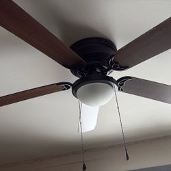 Ceiling Fan Light