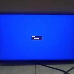 asus monitor