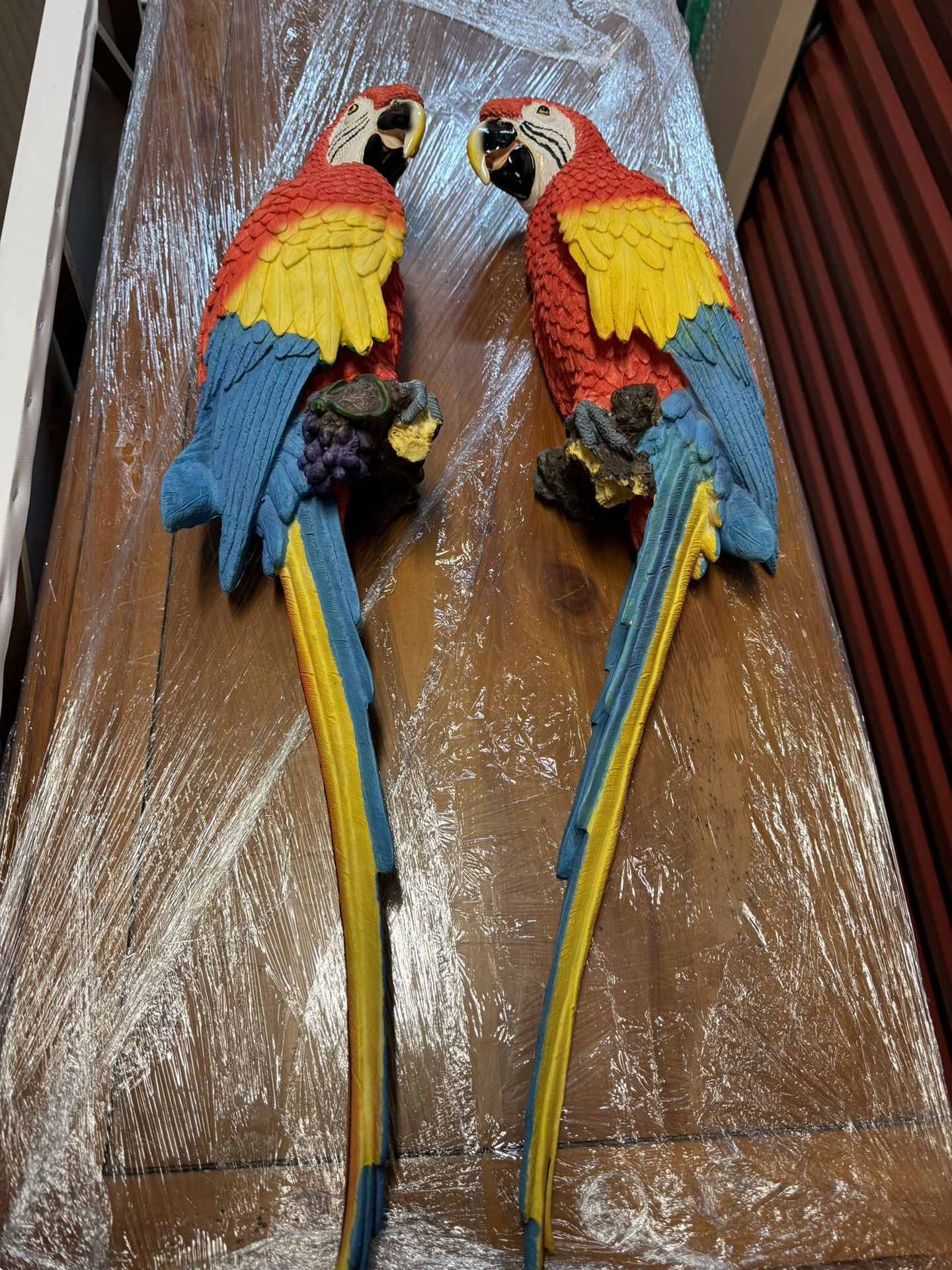 Decorative Wall Parrots