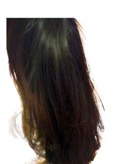 22 Inch Long Straight Brown Wig