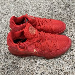 Nike LeBron Basketball Shoes
