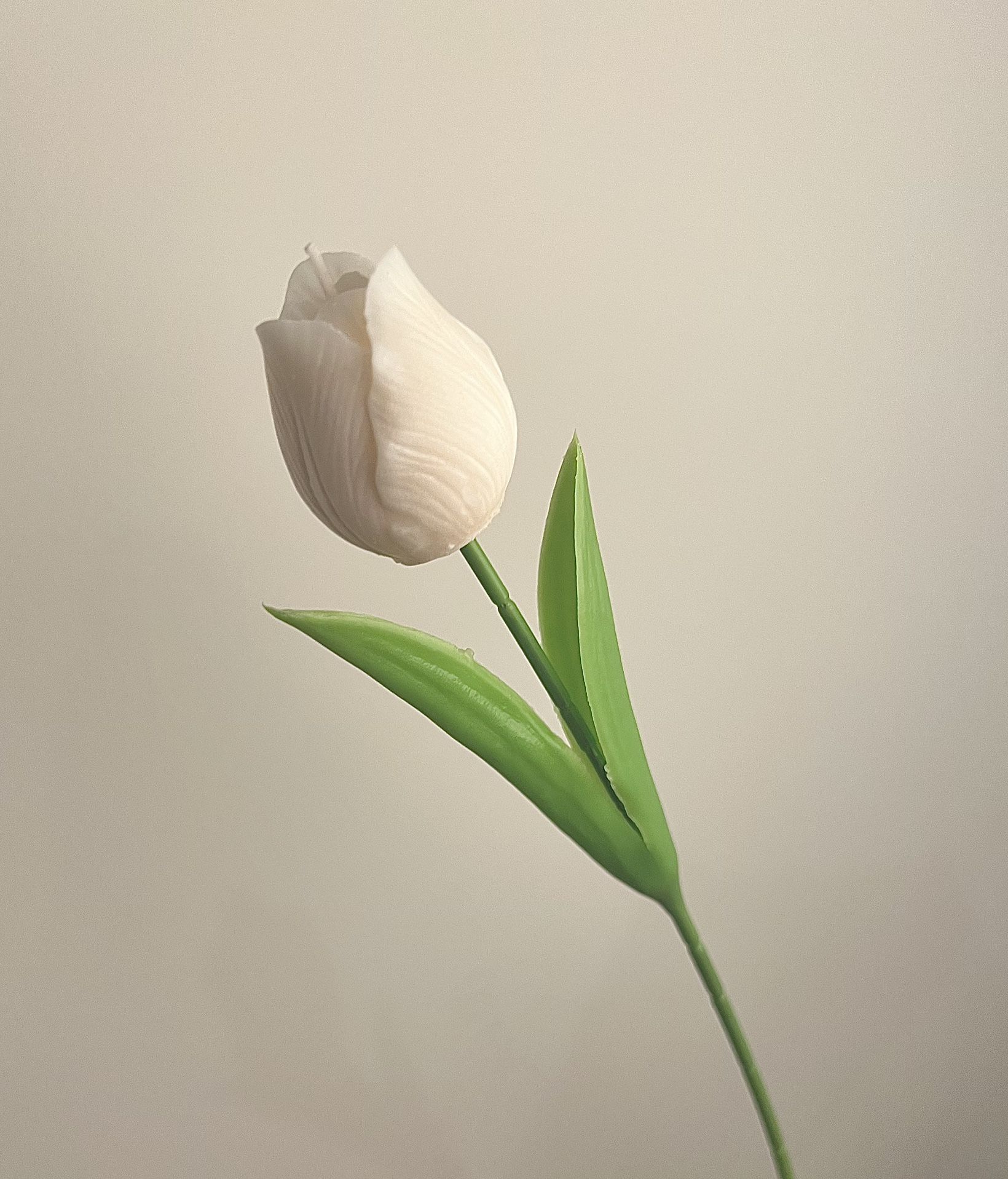 White Tulip Candle As Wedding Favor