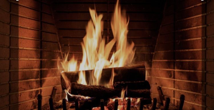 Firewood