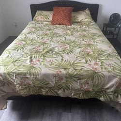 Queen bed with box and mattress 