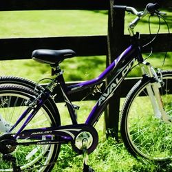 Schwinn Sidewinder Mountain Bike - 26 Speed (Purple & Black)