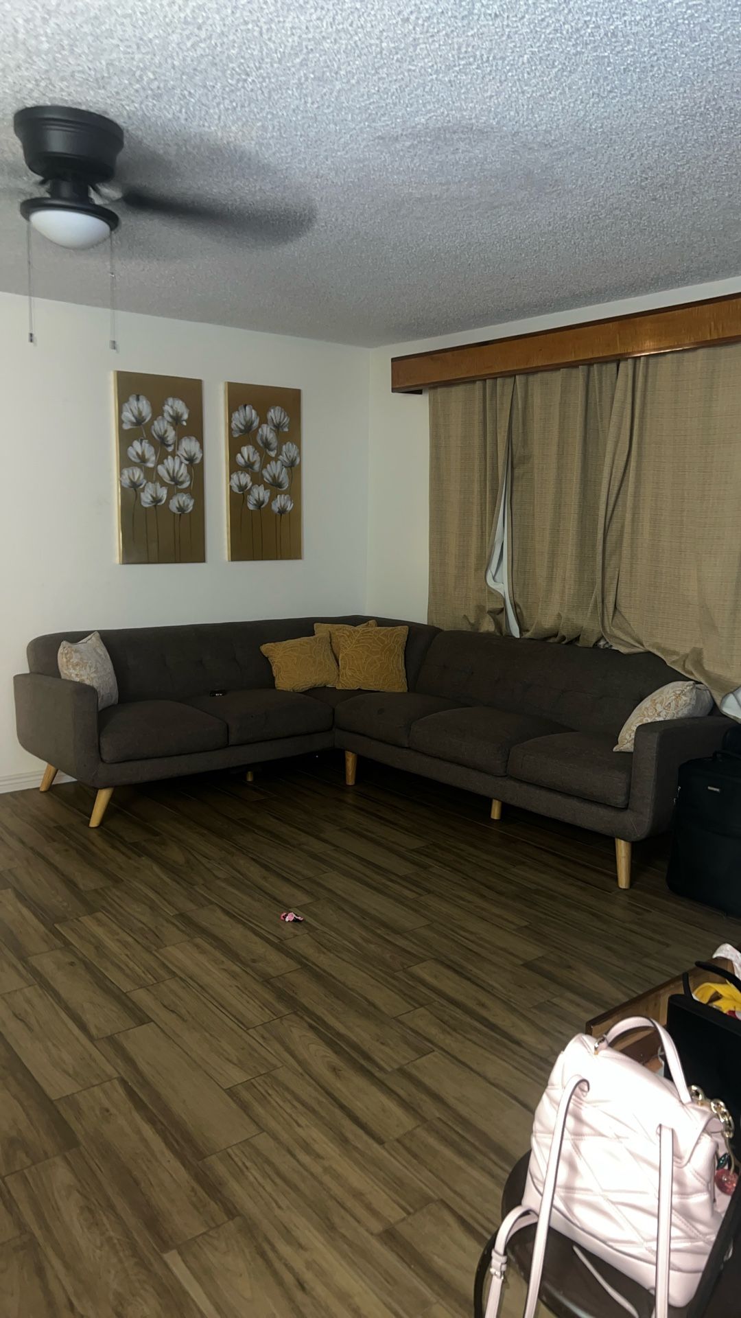 Sectional Couch