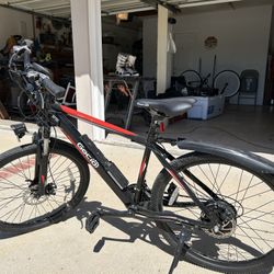 Gocio 750w Electric Bike