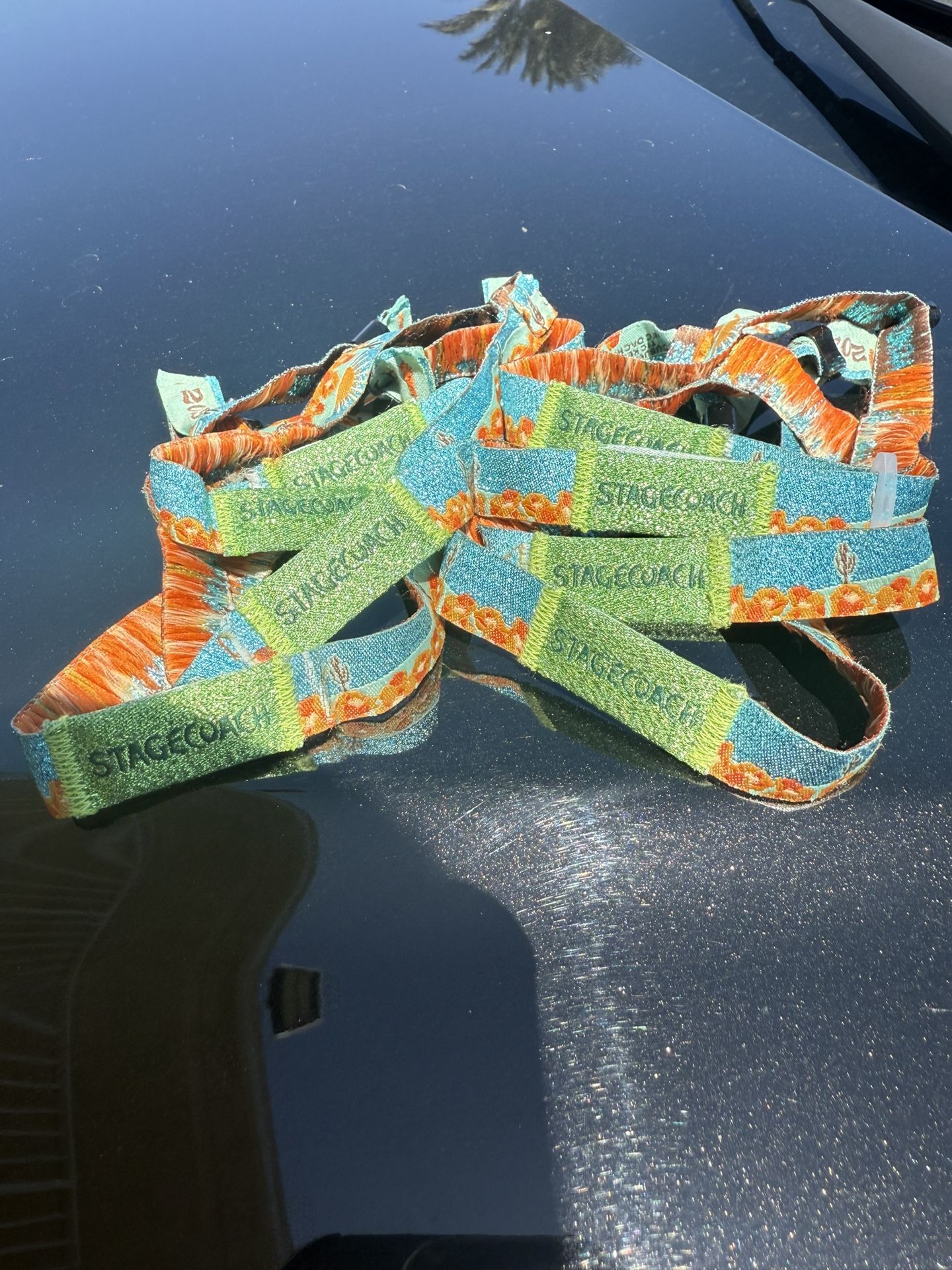 Stagecoach SUNDAY GA-$200 EACH
