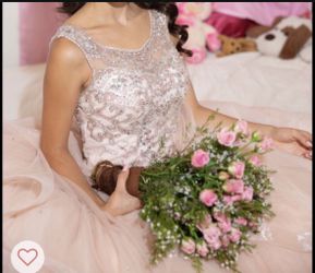 Blush Pink Quince Dress