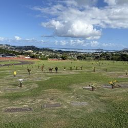 Plots for sale Hawaiian memorial Hillcrest garden 1