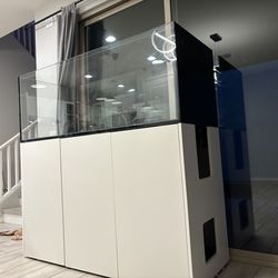Red Sea Reefer Peninsula 650 (Tank, Reef, Fish) + SUMP