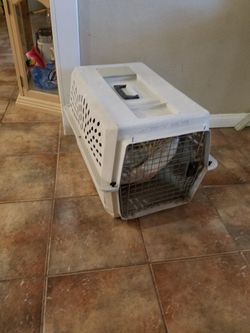 Dog kennel