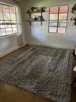 Gray Shag Rug