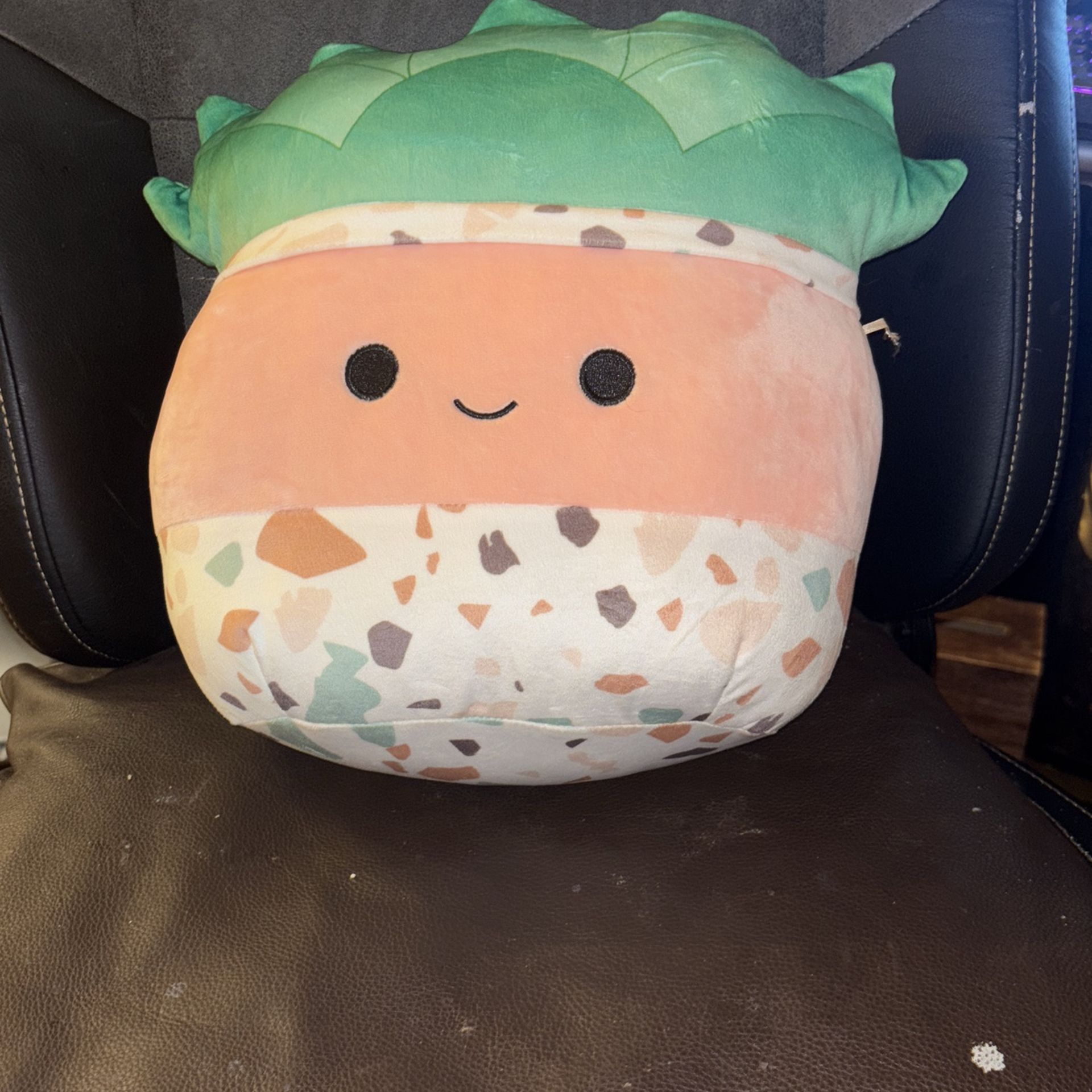 Squishmallow Salad Bowl w/Salad
