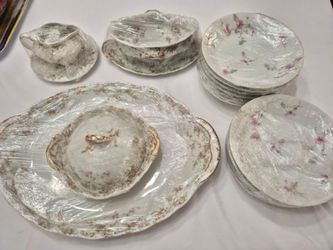 Limoges Plattwr, Butter Dish,  Gravy Boat,  Creamer Bowl,  Vegetable Bowls
