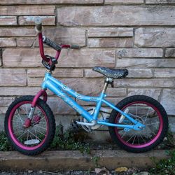 Dragonfly Kids Bike With Training Wheels