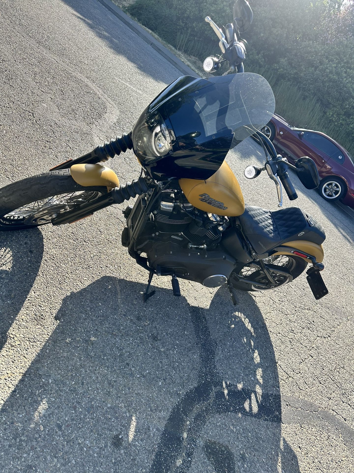 2019 Harley Davidson Streetbob