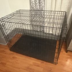 Dog Crate 