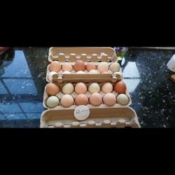 Organic 🥚 Huevos Organicos Socorro area.