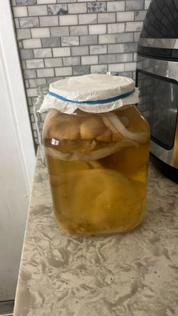 Bote para fermentar kambucha