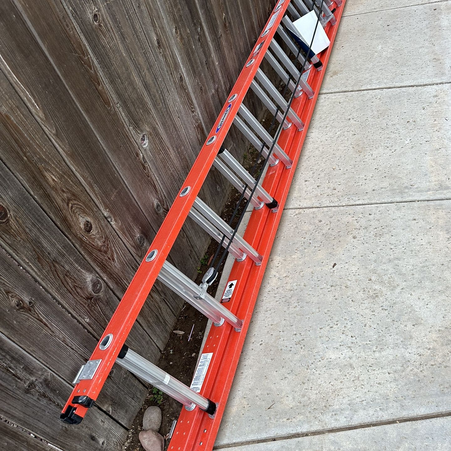 24 Fiberglass Ladder 
