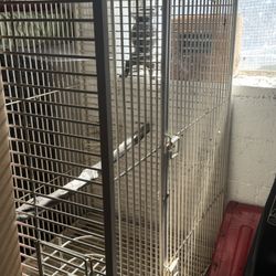 Bird Cage 