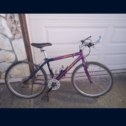 1993 Specialized Stuntjumper Bike Purple/Blue