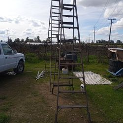 2 Large Wood Ladders