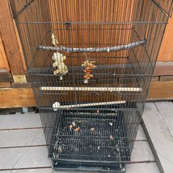 birds  cage 