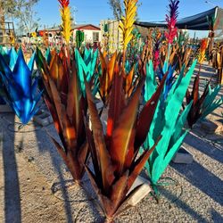 🌵agaves, saguaros + barrel cactus🌺