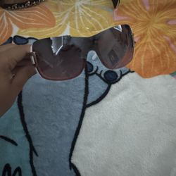 southpole sunglasses