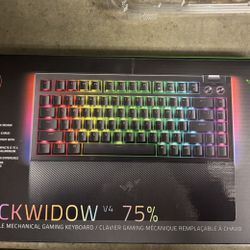 Razer Blackwidow V4 75%