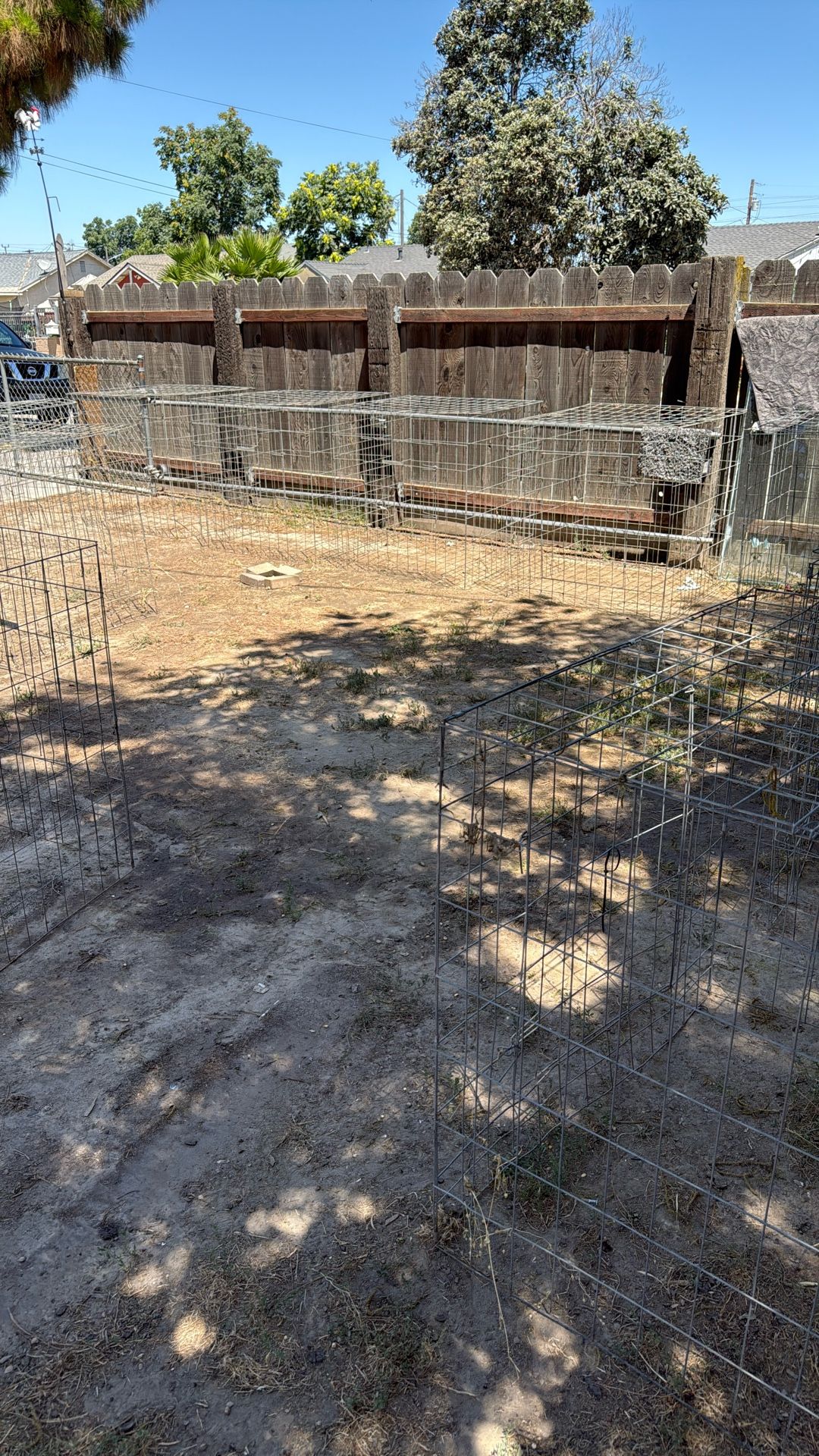 Chicken Cages