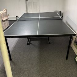 Ping Pong Table