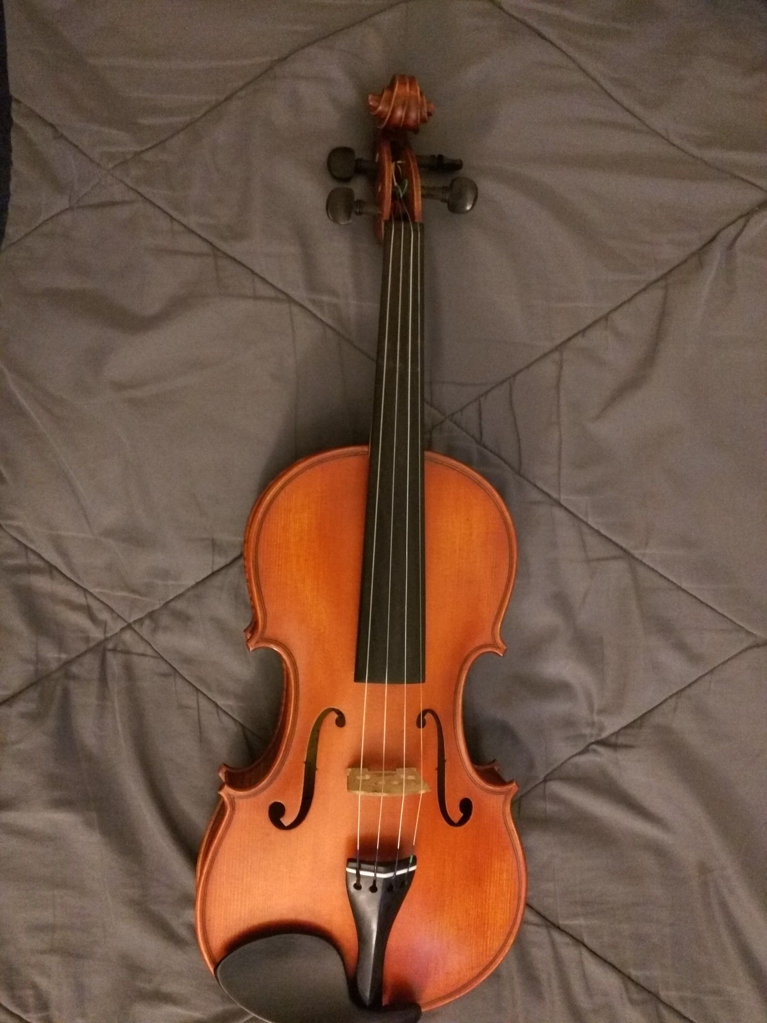 Violin plus kit