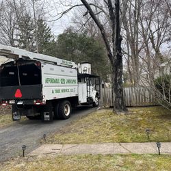 Tree Equipment